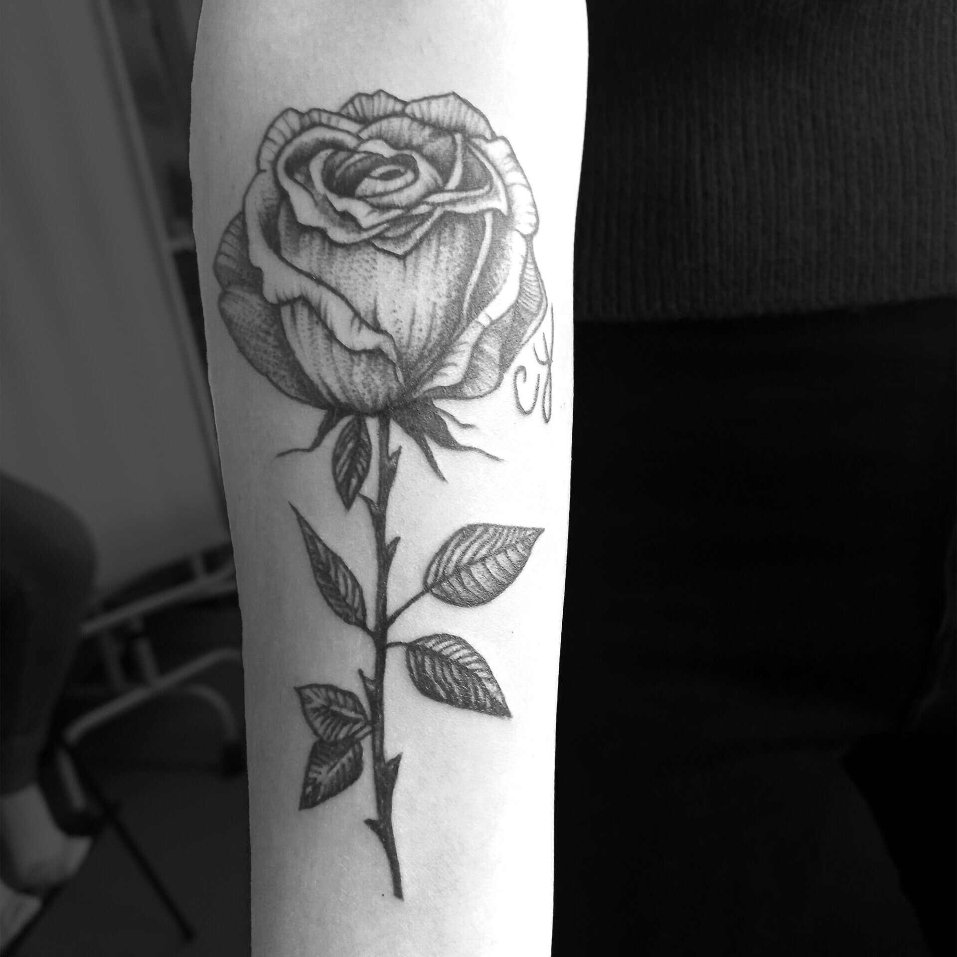 Rose simple droite d&eacute;licate